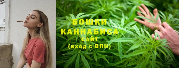 крисы Заводоуковск